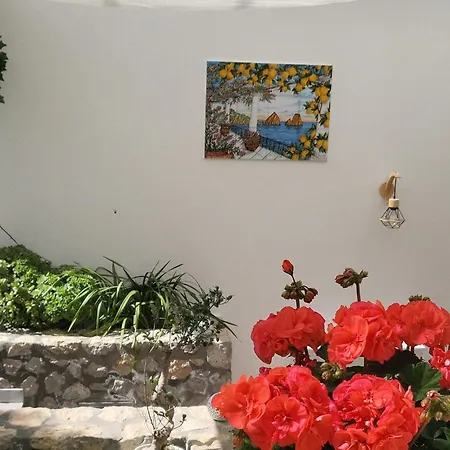 L'agrumeto Gasthuis Anacapri (Isola di Capri)